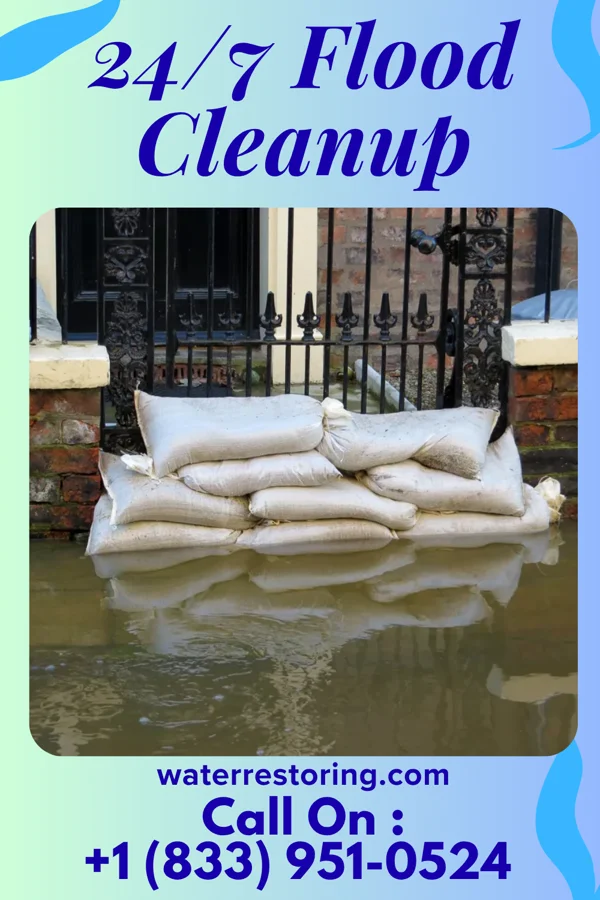 24/7 Flood Cleanup in Newport, NC