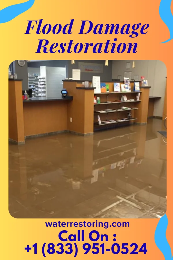 Flood Damage Restoration in Newport, NC