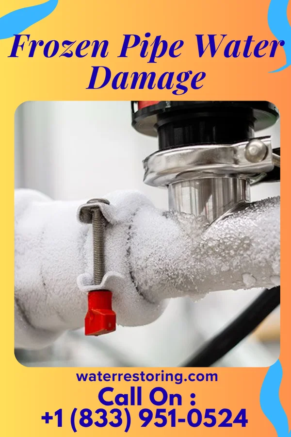 Frozen Pipe Water Damage in Newport, NC