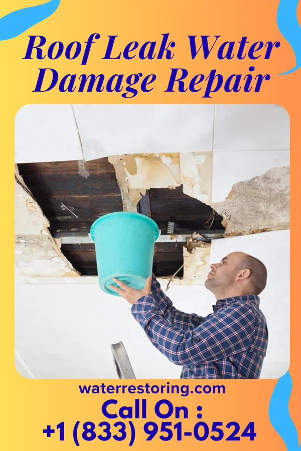 Roof Leak Water Damage Repair in Newport, NC