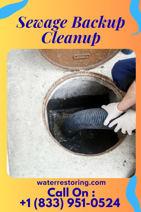 Sewage Backup Cleanup in Newport, NC